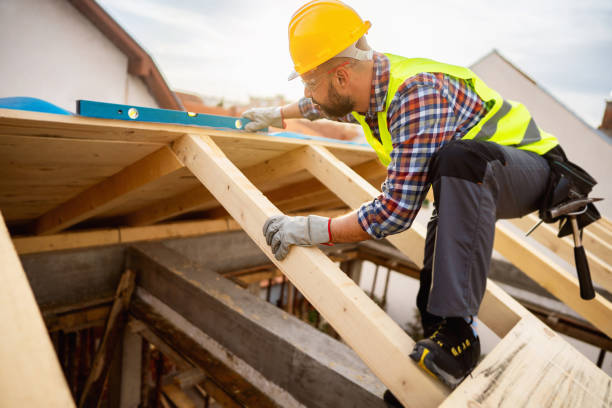 Best Roof Maintenance Services  in Wolf Point, MT