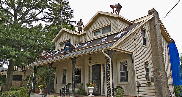 Best Affordable Roofing Company  in Wolf Point, MT