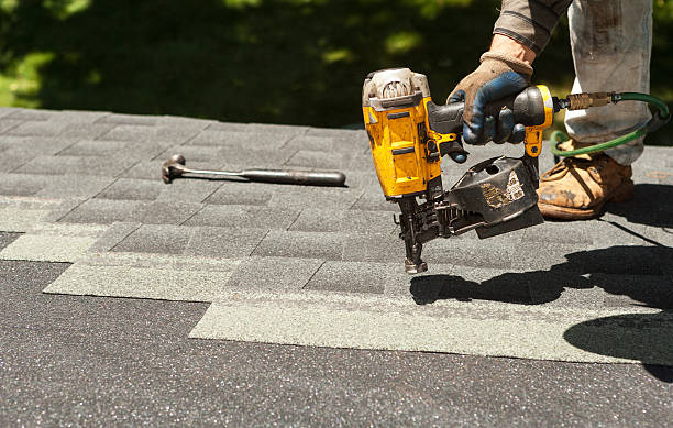 Best Local Roofing Companies  in Wolf Point, MT
