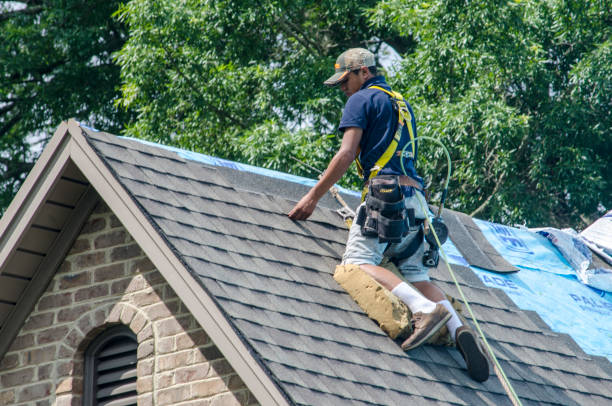 Best New Roof Installation  in Wolf Point, MT